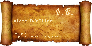 Vicze Bálint névjegykártya
