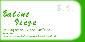 balint vicze business card